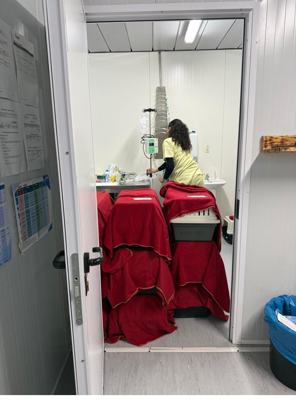 Sala de recobro de uma campanha, com transportadoras preparadas