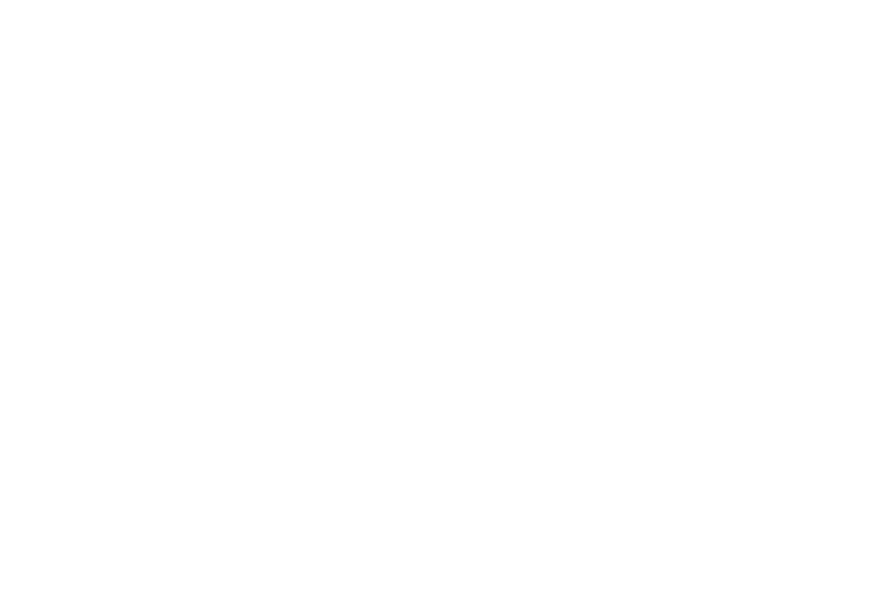 VetL